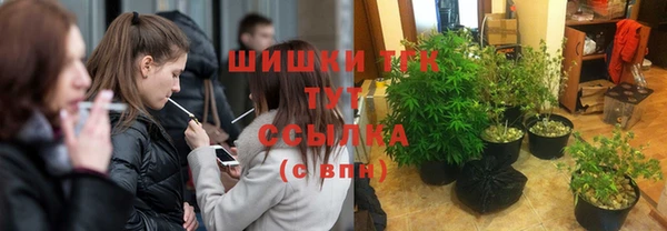 гидропоника Белоозёрский