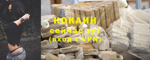 spice Богородицк