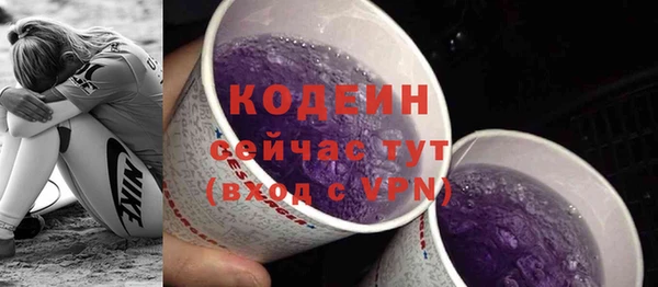 spice Богородицк