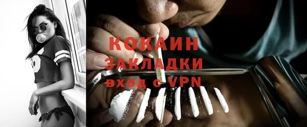 spice Богородицк