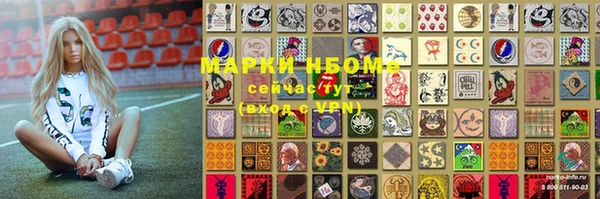spice Богородицк