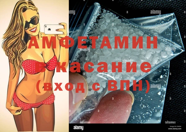 spice Богородицк