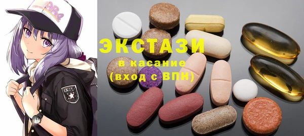 spice Богородицк