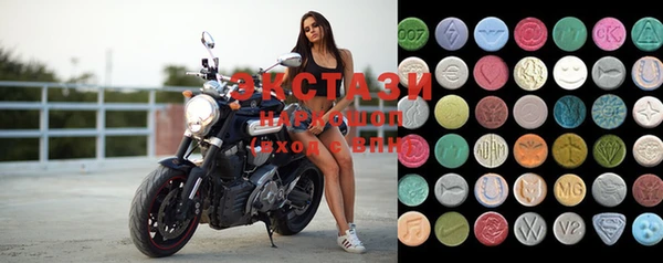 spice Богородицк