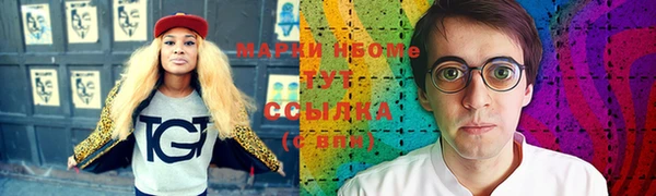 spice Богородицк