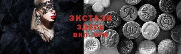 spice Богородицк