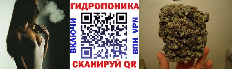 купить   shop официальный сайт  Каннабис Amnesia  Ковылкино 